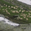 Powiększ